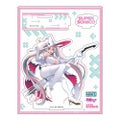 HATSUNE MIKU GT PROJECT - RACING MIKU 2024 VER. x SUPER SONICO AKRYYLI STANDI B