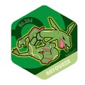 POKEMON - HONEYCOMB MAGNEETIT